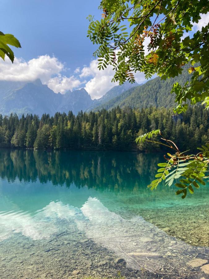 Apartments Belopeski Dvori Kranjska Gora Eksteriør bilde