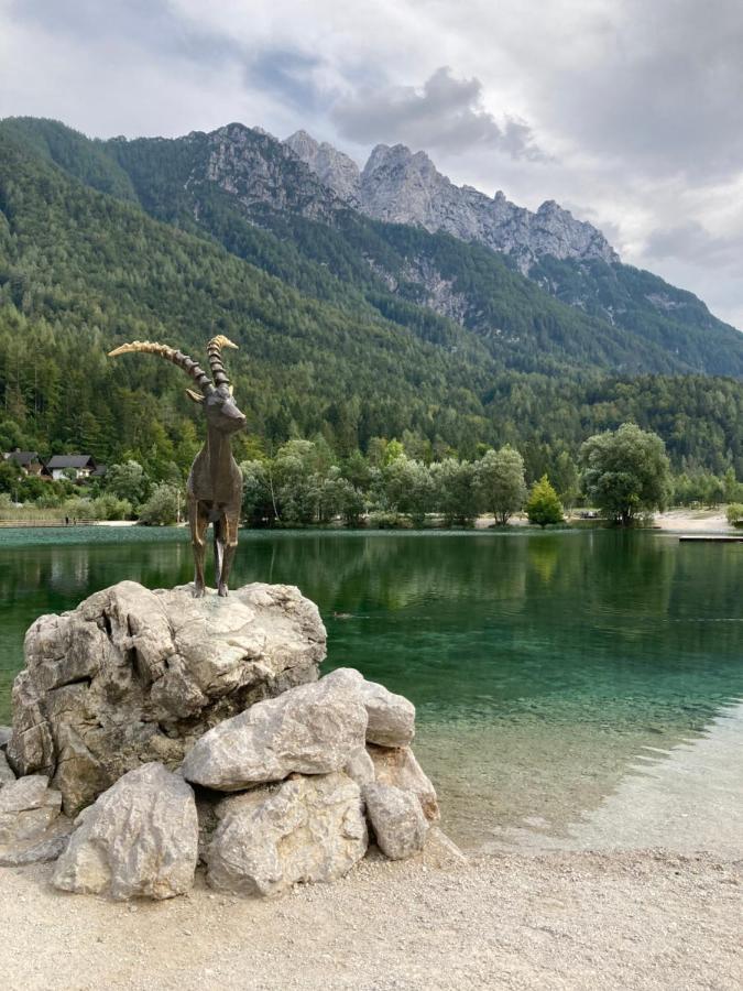 Apartments Belopeski Dvori Kranjska Gora Eksteriør bilde